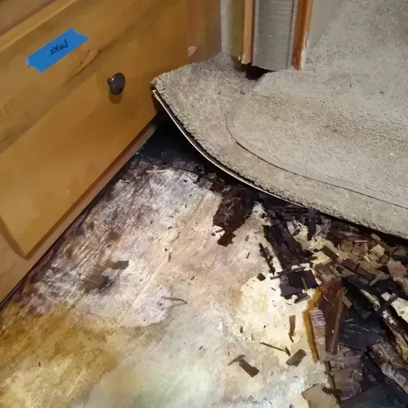 Wood Floor Water Damage in Point of Rocks, MD